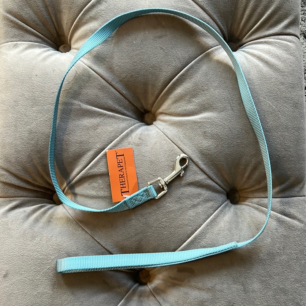 4’Light Blue Nylon Dog Leash
